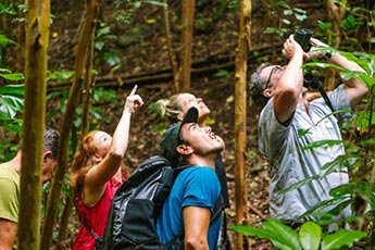 Atividades e atrativos de Lavras Novas